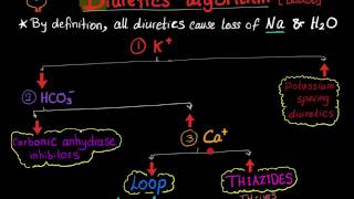 Diuretics algorithm blood electrolytes [upl. by Ishmul124]