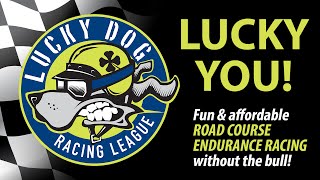 Welcome to Lucky Dog Racing LeagueFun amp Affordable Road Course Endurance Racing [upl. by Gerius]