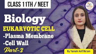 Cell  Eukaryotic Cell  Plasma Membrane and Cell Wall  Part3  11  NEET  Bsc  cell neet [upl. by Laira]