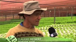 Cultivo protegido de hortigranjeiros contra a geada  Programa Rio Grande Rural [upl. by Amikehs]