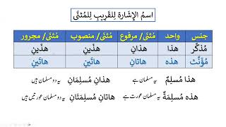 Madinah Arabic Book1 Lesson 12 Review [upl. by Gilman]