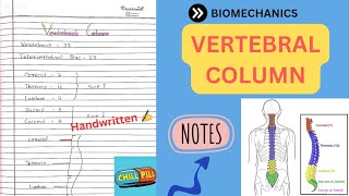 VERTEBRAL COLUMN NOTES📚 BIOMECHANICS Physiotherapy 2nd Yr💥 [upl. by Ahsiema]