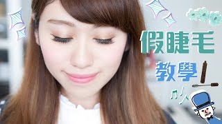 KIKOLI化妝師教你貼假眼睫毛 HOW TO APPLY FALSE EYELASHES 假眼睫毛教學 [upl. by Broida]