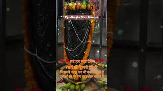 Guga medi darbar chholi bagad virelreels bholenath haridwar live shivshankar shivshakti [upl. by Ellyn]