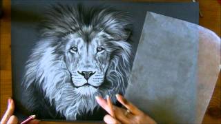 Aperçu  Technique crinière lion aux pastels secs [upl. by Abekam]