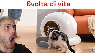 Le rivoluzioni che ti cambiano la vita la lettiera automatica per gatti [upl. by Tnayrb]