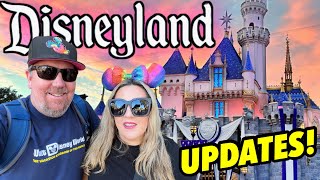 Disneyland Weekly Updates New Treats Tiana’s amp Splash Mountain ConstructionInsane Crowds  Sunset [upl. by Ynaiffit]