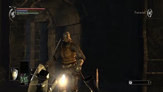 Demons Souls First Person Test [upl. by Assirek]