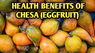 HAVE YOU EVER HEARD THIS EXOTIC FRUIT CHESA OR EGGFRUIT WATCH THE 15 SURPRISING HEALTH BENEFITS [upl. by Wickham]