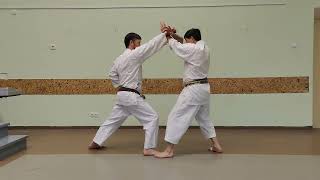 Heian Godan kata bunkai full kata [upl. by Hibbs]