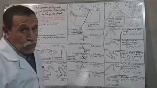 GEOLOGIEles deformations tectoniques acompagnant la genese des chaines de montagnes [upl. by Silverman186]