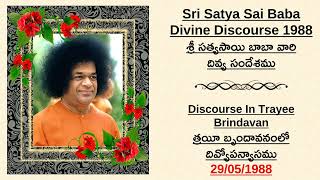 Sri Satya Sai Baba 1988 Divine Discourses  Discourse In Trayee Brindavan On 29051988 [upl. by Kristan]