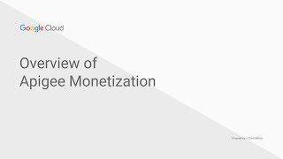 Apigee Monetization Overview [upl. by Ahtnamas]