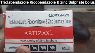 Use veterinary ARTIZAX  Triclabendazole Ricobendazole amp zinc Sulphate bolus [upl. by Aifoz678]