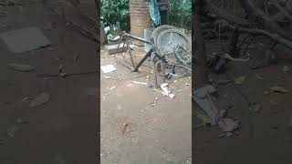 Cycle full removed in malayalamautomobile bikestunts slowrace wheelieprogression [upl. by Anelac]