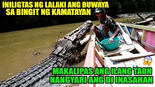 Iniligtas ng lalake ang buwaya sa bingit ng kamatayan ilang taon ang makalipas ay eto ang nangyari [upl. by Danny416]