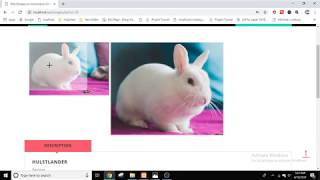 Online Pet Shopping Project in PHP [upl. by Boak65]