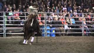 Steve Rother and Professor at The Mane Event Horse Expo [upl. by Benedict]