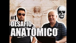 Conheça a ORIGEM de 8 TERMOS ANATÔMICOS  DESAFIO ANATÔMICO 1  Anatomia Humana [upl. by Sieber]