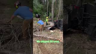 Chipping in machiasport maime treeremovalservices excavator treeremoval logging treeservice [upl. by Madlin]