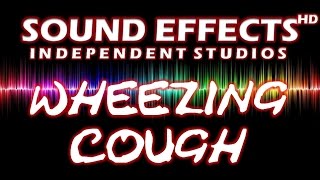 SFX  SOUND EFFECT WHEEZING COUGH  KEUCHENDDER HUSTEN [upl. by Annaegroeg]