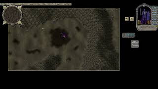 Ultima Online  New Legacy  How to Get to the Solen Matriarch [upl. by Lia]