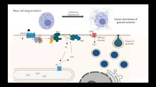 Type of muscle contraction [upl. by Yatzeck]