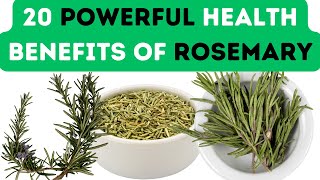 20 POWERFUL HEALTH BENEFITS OF ROSEMARY [upl. by Oinoitna]