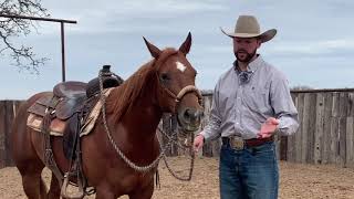 Ben Baldus Hackamore vs Snaffle [upl. by Loesceke]