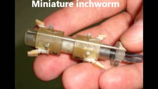 Single actuator Earthworm and Inchworm robots [upl. by Barnett439]