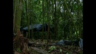 Más de 15 muertos en enfrentamientos entre disidencias de las FARC en Putumayo [upl. by Lexa538]