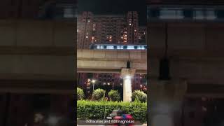 Most expensive society flats in Delhi NCR  DLF ARALIAS  DLF MAGNOLIAS  GURUGRAM  landplus [upl. by Ayekim868]