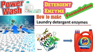 Detergent Enzyme FormulationPowerful Stains Removerenzymes [upl. by Briney501]