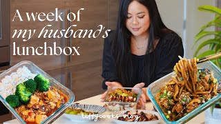 a week of husband’s lunchbox ep 2 🍱 easy comforting recipes [upl. by Atnohs]