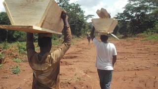 tchambat Innocent apiculture  Fabrication et Pose dune ruche kenyanne [upl. by Adnoval749]