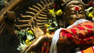 Shree Rudram in ghanam mode part 1 of 3 [upl. by Nylsirk]