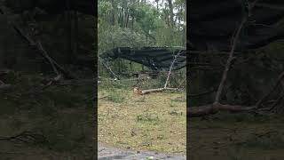 tornado damage Tallahassee FL 5102024 [upl. by Yesor39]