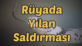 Rüyada Yılan Saldırması [upl. by Hseham]