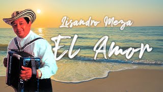 El Amor  Lisandro Meza  Video Lyric [upl. by Nodle]