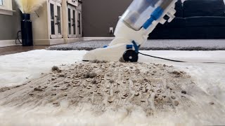 Vacmaster Bagless Upright Vacuum  White Rug  Mess Test [upl. by Edie]