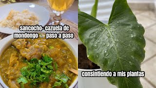 cazuela de mondongo🍲 SOPAS DE MONDONGO PASO A PASO [upl. by Gapin]