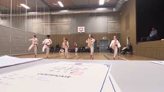 taekwondo sædalentkd klubb holdt sin årlige Barne Julegradering Dec 7’ 2023 Basic teknisk [upl. by Bisset]