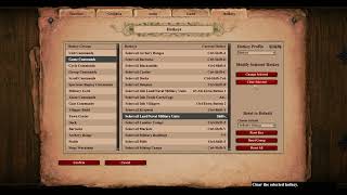 My hotkeys settings and mods for AoE2 DE [upl. by Aidnis]