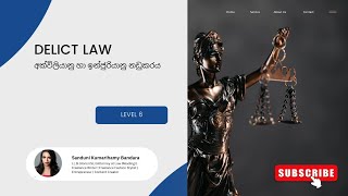 Speed Up Kuppi  Delict law  Level 06  අක්වීලියානු හා ඉන්ජූරියානු නඩුකර [upl. by Ahsrats]