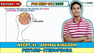 Lec 10 Phylum Ctenophora Animal Kingdom Class 11 NEET 2024 [upl. by Nirat683]