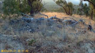 The Grampians Chinaman Track [upl. by Kamerman]