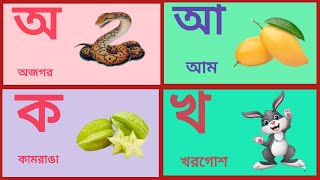 ক খ গ ঘ ঙ বাংলা ॥ অ আ ই ঈ উ‌ ঊ ঋ এ ঐ ও ঔ ॥ Oi ojogor asche tere ॥ Ka kha ga gha ॥ Bangla Bornomala [upl. by Noe]