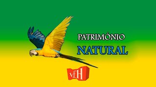 O QUE É PATRIMÔNIO NATURAL EXEMPLOS DE PATRIMÔNIOS NATURAIS NO BRASIL 4 minutos [upl. by Rednael]