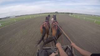 Magee chuckwagon racing [upl. by Philan]