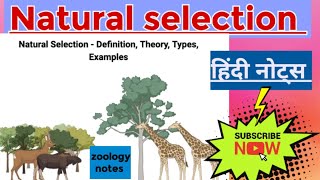 Natural selection MSc zoology 1st semester Hindi notes [upl. by Nita]